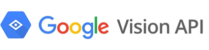 Google Vision